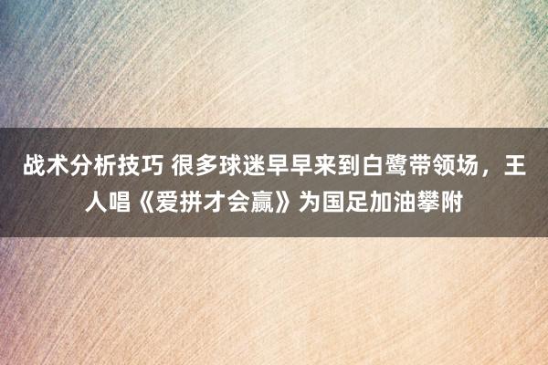 战术分析技巧 很多球迷早早来到白鹭带领场，王人唱《爱拼才会赢》为国足加油攀附