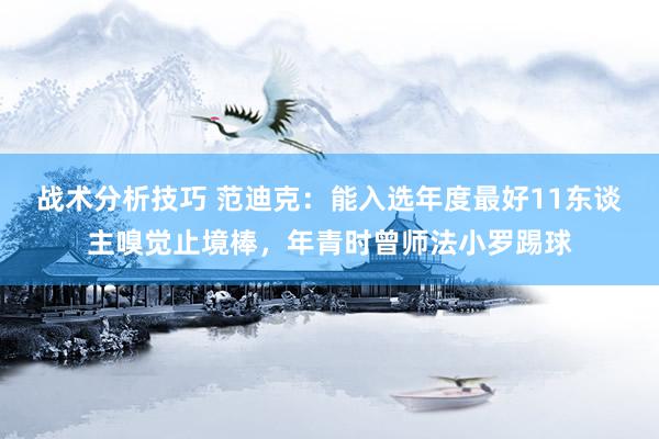 战术分析技巧 范迪克：能入选年度最好11东谈主嗅觉止境棒，年青时曾师法小罗踢球