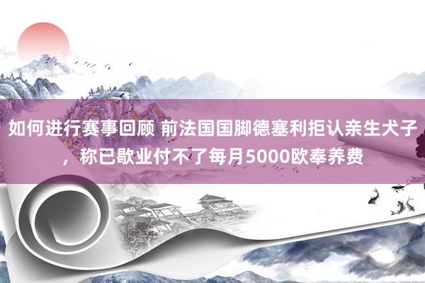 如何进行赛事回顾 前法国国脚德塞利拒认亲生犬子，称已歇业付不了每月5000欧奉养费