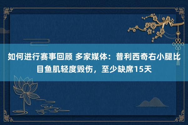 如何进行赛事回顾 多家媒体：普利西奇右小腿比目鱼肌轻度毁伤，至少缺席15天