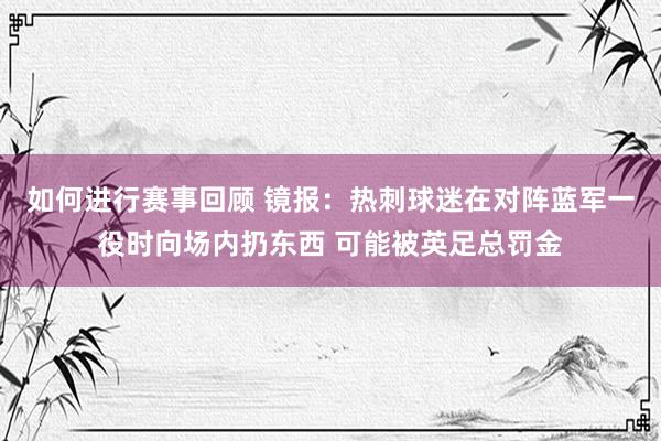 如何进行赛事回顾 镜报：热刺球迷在对阵蓝军一役时向场内扔东西 可能被英足总罚金