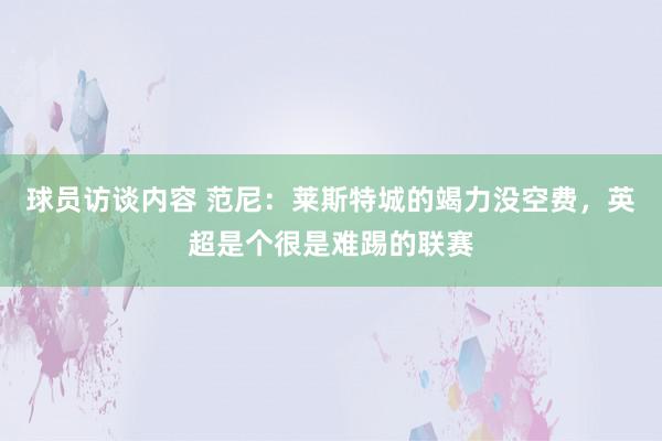 球员访谈内容 范尼：莱斯特城的竭力没空费，英超是个很是难踢的联赛